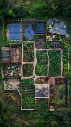 an aerial view of a garden with lots of green plants