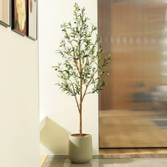 a potted plant sitting in front of a door