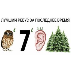 an owl and ear are shown with the numbers 7 - 11 in russian, which means seven