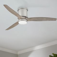 a ceiling fan in a white room with a plant on the floor next to it