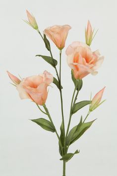 three pink flowers in a vase on a table