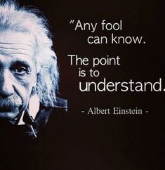 albert einstein quote about the point is to understand