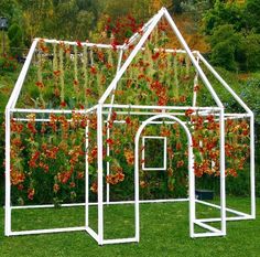 a white house with red flowers growing on it's side in the grass next to some bushes