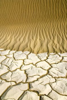 the ground is covered in sand and has no grass or rocks to grow on it