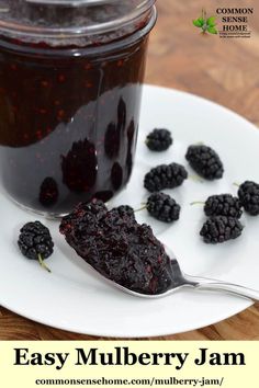 a spoon full of blackberry jam sitting on top of a white plate