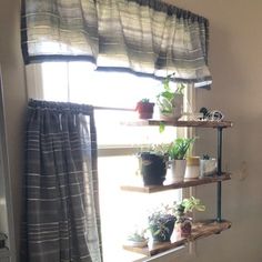 there is a window in the bathroom with potted plants on the ledges and shelves