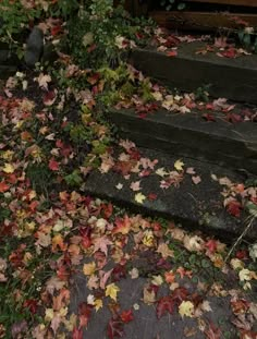 the steps are covered with leaves and grass