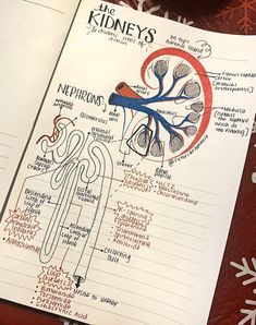 an open book with some diagrams on it