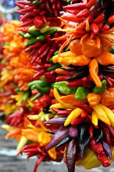 many colorful peppers are hanging from a pole