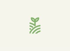 a green plant with leaves in the center on a white background, logo design for an organic product