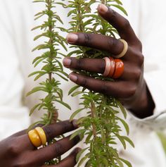 The perfect layering ring for any stack! Our Rainey Domed Horn Ring will have you smiling ear to ear. Up-cycled horn is hand carved into a beautiful bubble dome and then hand-painted in a gorgeous wash of transparent paint. DETAILS Sizes 6, 7, 8, and 9 Up-cycled horn hand-painted in a transparent wash Ships in 1-3 days NOTE: Due to the handmade nature of our pieces, there may be slight variations in size, color, and pattern from item to item. This item is handmade by fair-trade artisans. Please Bubble Dome, Horn Ring, Clay Rings, Daily Organization, Fair Trade Jewelry, Layered Rings, Ear Ring, Dome Ring, Prints Design