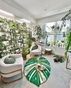 a living room filled with lots of plants and furniture