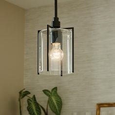 a light fixture hanging from the ceiling in a room with a potted plant next to it