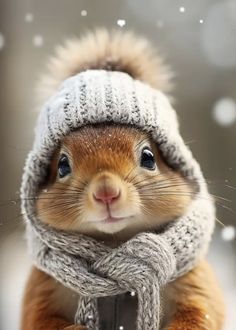 a squirrel wearing a knitted hat and scarf in the snow with it's eyes wide open