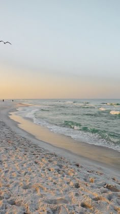 two birds are flying over the water at sunset on a beach with footprints in the sand