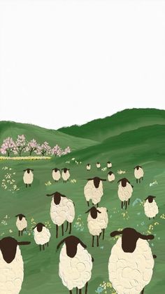 a herd of sheep standing on top of a lush green field