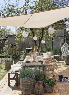 an outdoor dining area with wicker furniture and hanging lights, surrounded by greenery