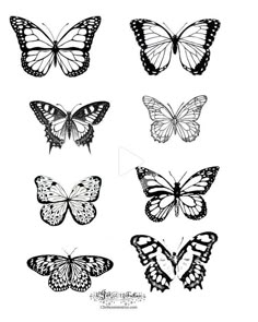 butterflies are shown in black and white, with one butterfly on the left side of the image