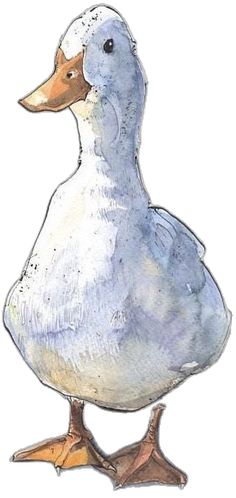 a watercolor painting of a duck standing on one leg and looking to the side