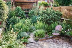 an outdoor garden with lots of plants and flowers