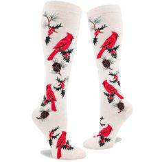 Cardinal Women's Knee High Socks Ivory Socks For Christmas, Winter Fire, Womens Knee High Socks, Bellingham Washington, Sock Lovers, Sock Collection, Backyard Flowers, Christmas Sock, Funky Socks