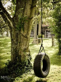 a tire swing hanging from a tree in the grass