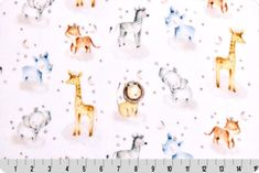 a white background with many different animals on it