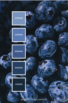 some blueberries are stacked up together with the same color scheme in each section,