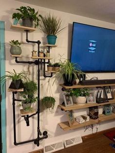 a tv mounted on a wall next to shelves filled with plants