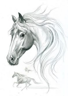 a pencil drawing of a horse and its foal