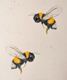 two bees are flying in the air