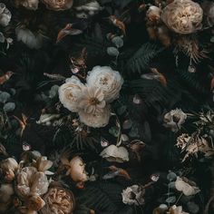 Dark Background Cream Floral Wallpaper Removable Wallpaper EazzyWalls Sample: 6''W x 9''H Canvas Cream Floral Wallpaper, Canvas Wallpaper, Moody Wallpaper, Wallpaper Store, Vintage Floral Wallpapers, Moody Bedroom, Wallpaper Stores, Bad Inspiration, Boho Wallpaper