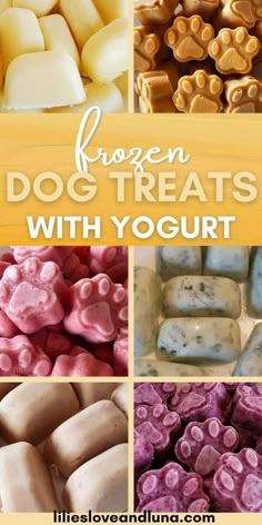 frozen dog treats with yogurt are the perfect treat for dogs and cats to enjoy