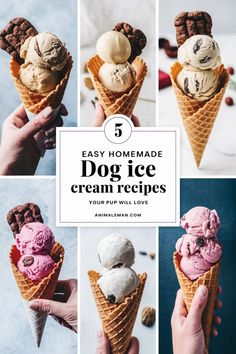 six different ice creams in cones with the words 5 easy homemade dog ice cream recipes