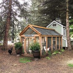 a chicken coop in the middle of some trees