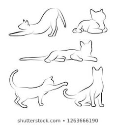 the outlines of cats are shown in black and white