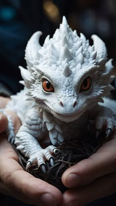 a person holding a small white dragon in their hands