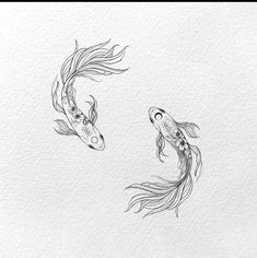 two black and white koi fish swimming in the water