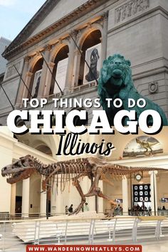 the top things to do in chicago, illinois with text overlay that reads top things to