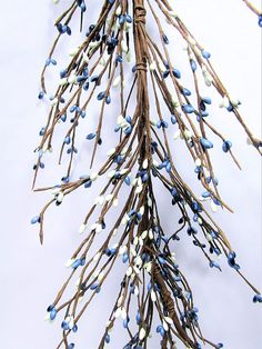 a bunch of branches with blue and white flowers