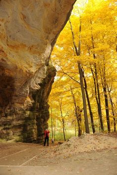 a person standing in front of a large rock formation with yellow leaves on the ground