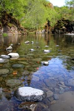 some rocks in the water and trees