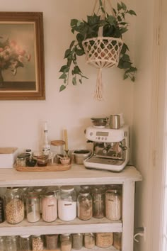 a shelf filled with jars and spices next to a potted plant on top of a table