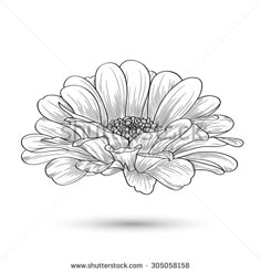 a black and white drawing of a flower