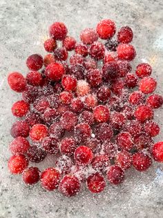 some red berries covered in snow on the ground