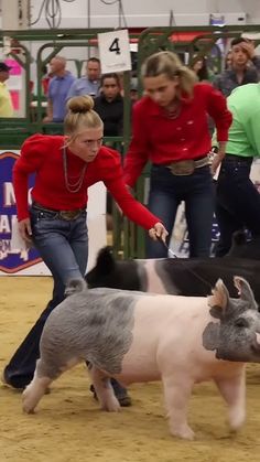 a woman in red shirt holding on to a black and white pig at a rodeo