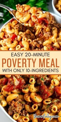 easy 20 minute poverty meal with only 10 ingredients