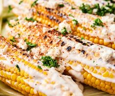 grilled corn on the cob with white sauce and parsley