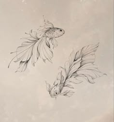 two fish are swimming in the water next to each other