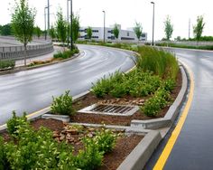 an empty street with some plants growing on the side and a drain in the middle